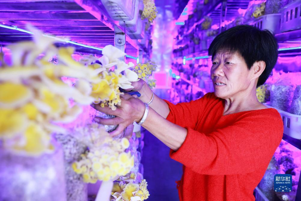 姚记捕鱼3d兑换码